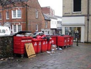Line of Bins in the High Street
