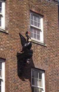 Black swan carving in place on wall
