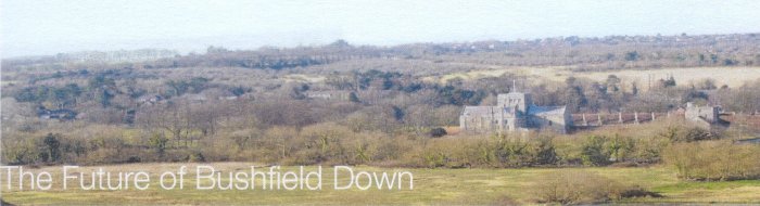 View of Bushfield Down