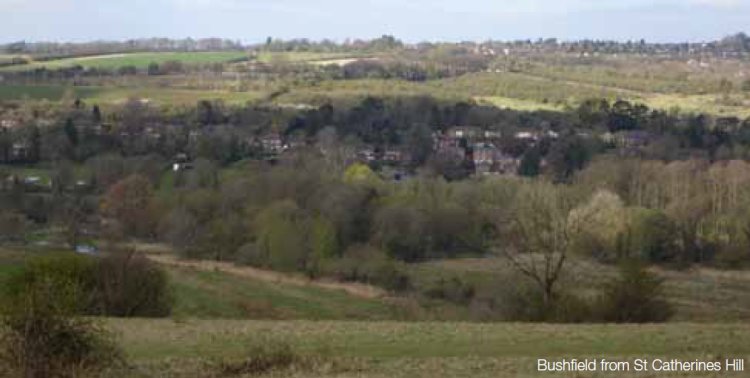 Bushfield from St Catherines Hill