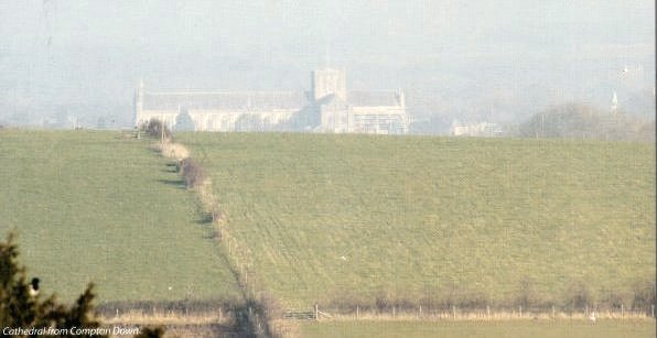 Cathedral from Compton Down