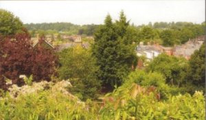 Fulflood - valley of trees, gardens and houses