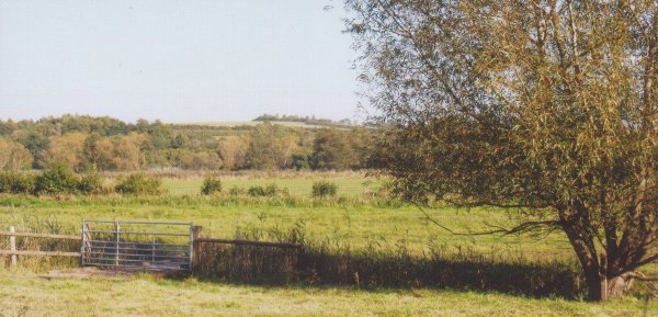 View towards A34 from King's Way footpath at Abbotts Barton
