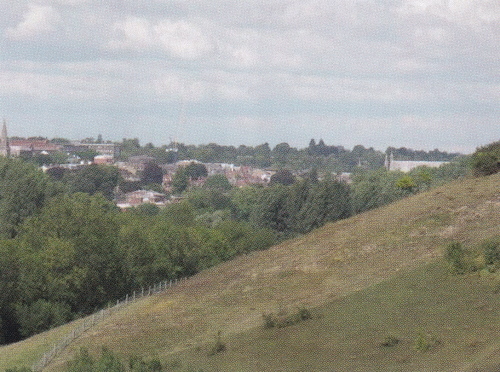 Winchester View